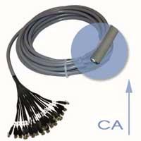Câble pieuvre SYT+ONEX32 : CA